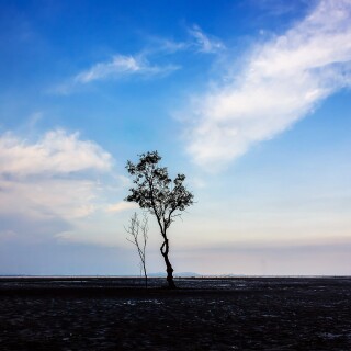 img-129