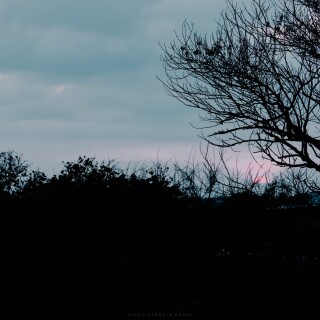 img-163