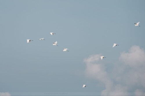 img-164.jpg