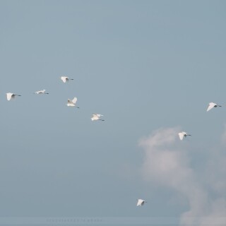img-164