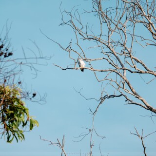 img-165