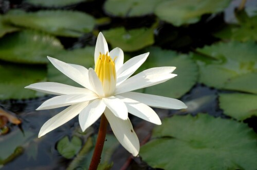 img-193.jpg