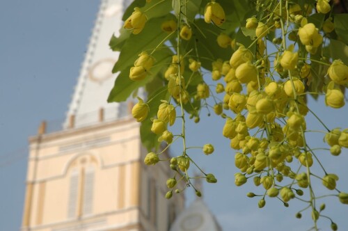 img-197.jpg