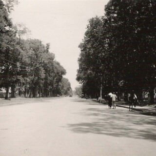 img-356
