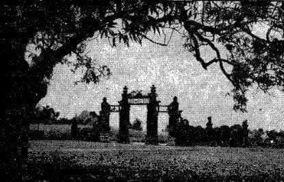 img-443.jpg