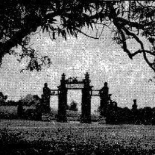 img-443