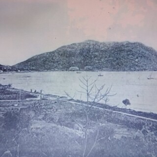 img-445