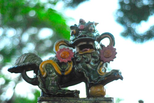 img-453.jpg