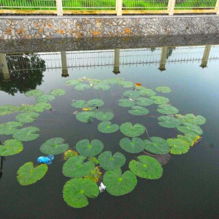 img-478