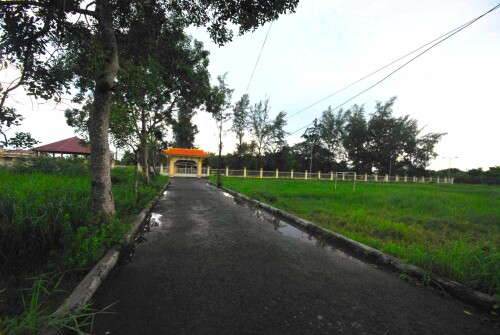 img-479.jpg