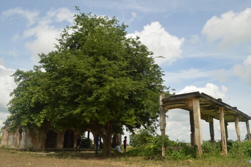 img-70.jpg
