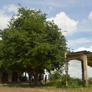 img-70
